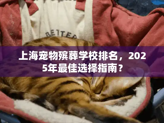 上海宠物殡葬学校排名，2025年最佳选择指南？