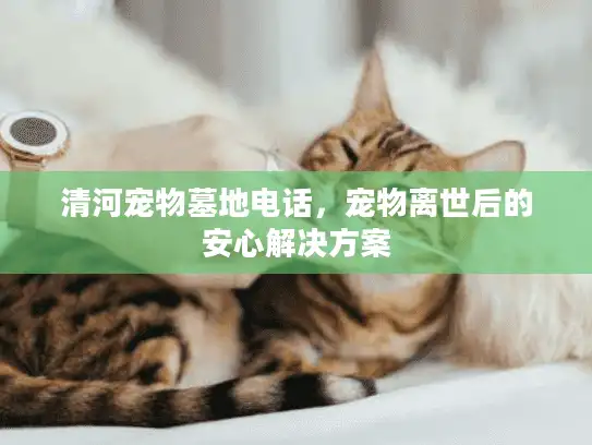 清河宠物墓地电话，宠物离世后的安心解决方案