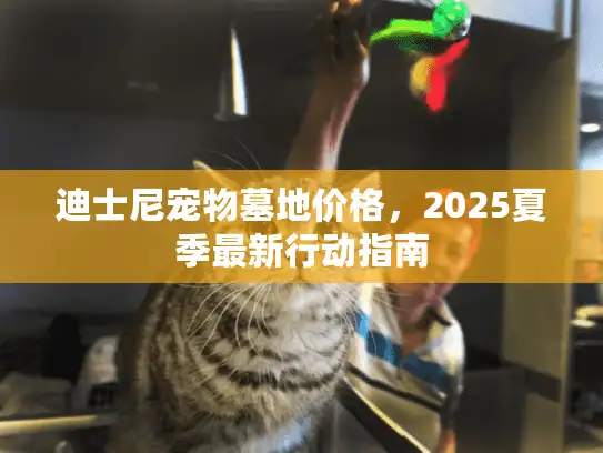 迪士尼宠物墓地价格，2025夏季最新行动指南