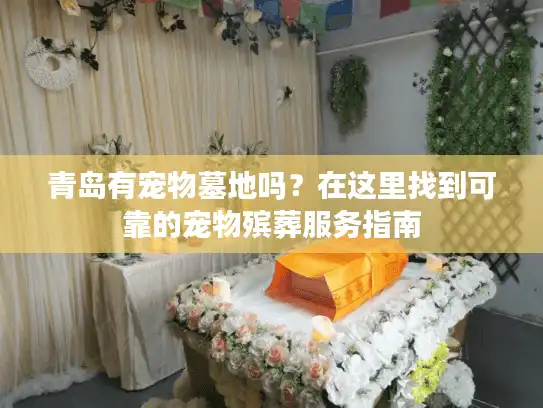 青岛有宠物墓地吗？在这里找到可靠的宠物殡葬服务指南