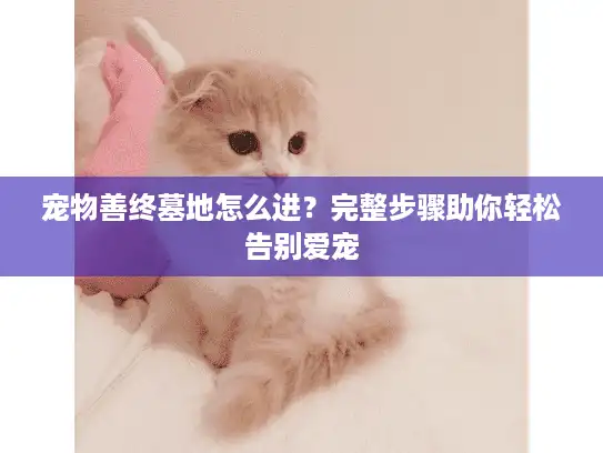 宠物善终墓地怎么进？完整步骤助你轻松告别爱宠