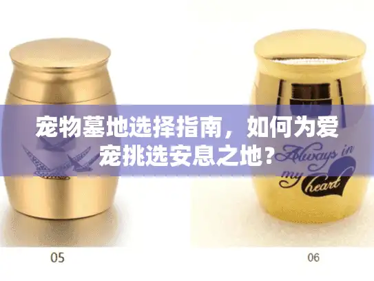 宠物墓地选择指南，如何为爱宠挑选安息之地？