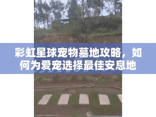 彩虹星球宠物墓地攻略，如何为爱宠选择最佳安息地？