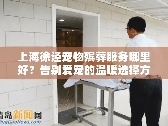 上海徐泾宠物殡葬服务哪里好？告别爱宠的温暖选择方案