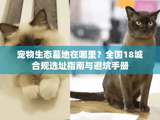 宠物生态墓地在哪里？全国18城合规选址指南与避坑手册