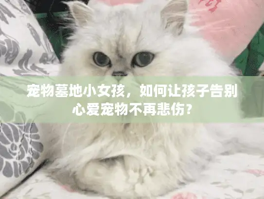 宠物墓地小女孩，如何让孩子告别心爱宠物不再悲伤？