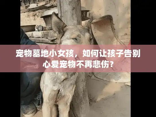 宠物墓地小女孩，如何让孩子告别心爱宠物不再悲伤？