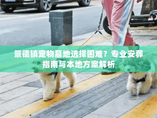 景德镇宠物墓地选择困难？专业安葬指南与本地方案解析