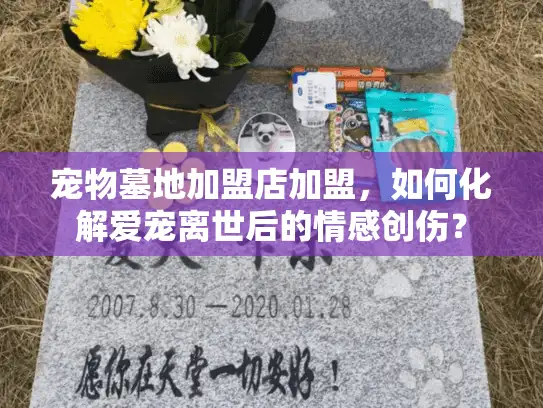 宠物墓地加盟店加盟，如何化解爱宠离世后的情感创伤？