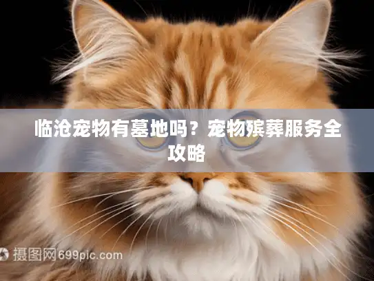 临沧宠物有墓地吗？宠物殡葬服务全攻略