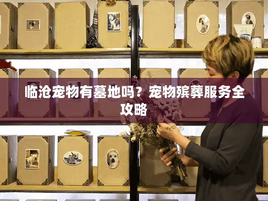 临沧宠物有墓地吗？宠物殡葬服务全攻略