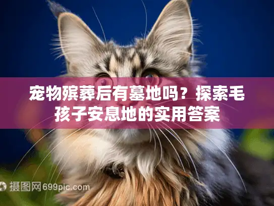 宠物殡葬后有墓地吗？探索毛孩子安息地的实用答案