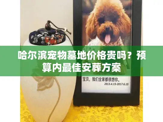 哈尔滨宠物墓地价格贵吗？预算内最佳安葬方案