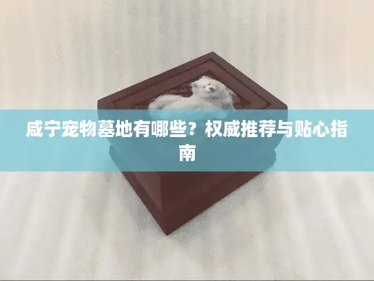 咸宁宠物墓地有哪些？权威推荐与贴心指南
