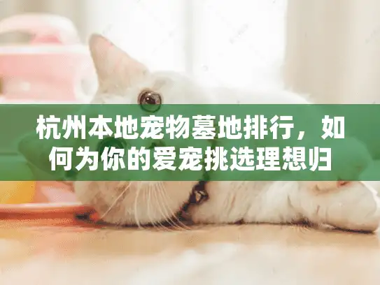杭州本地宠物墓地排行，如何为你的爱宠挑选理想归宿？