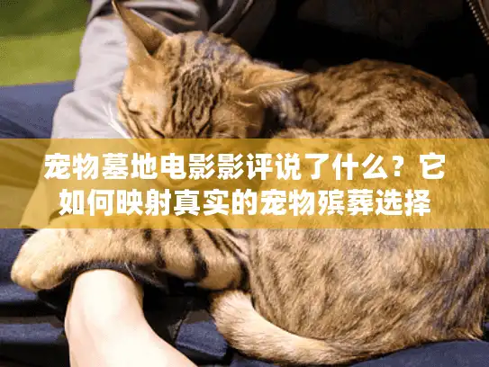 宠物墓地电影影评说了什么？它如何映射真实的宠物殡葬选择