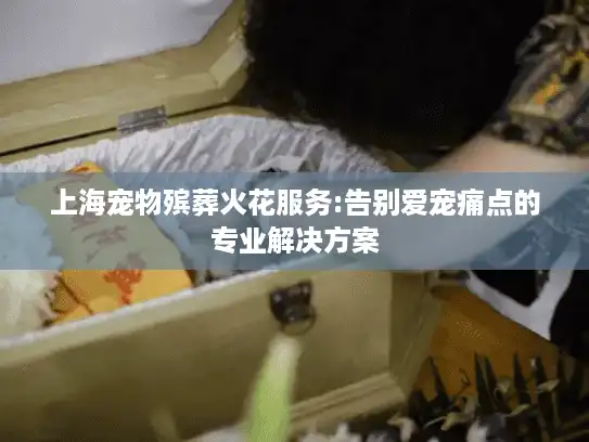 上海宠物殡葬火花服务:告别爱宠痛点的专业解决方案