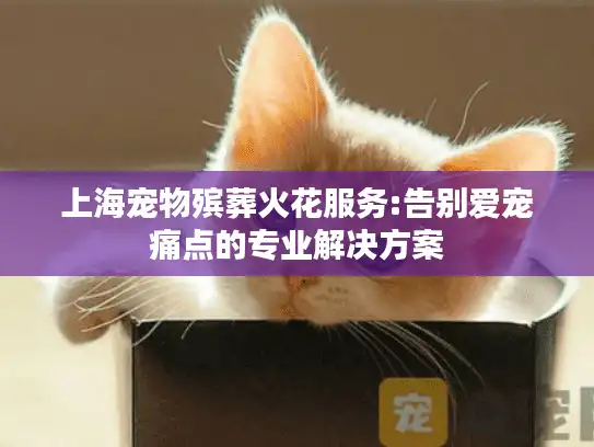 上海宠物殡葬火花服务:告别爱宠痛点的专业解决方案