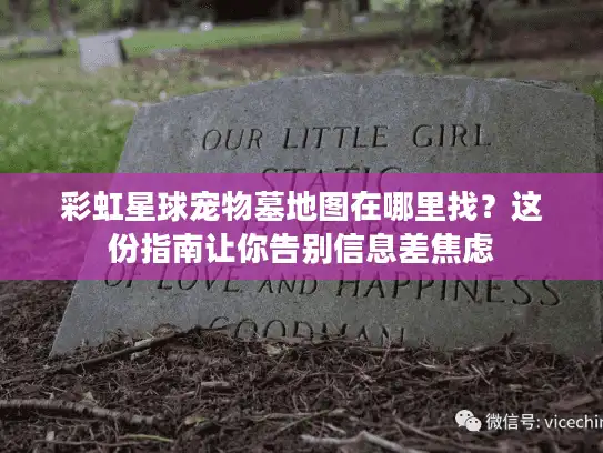 彩虹星球宠物墓地图在哪里找？这份指南让你告别信息差焦虑