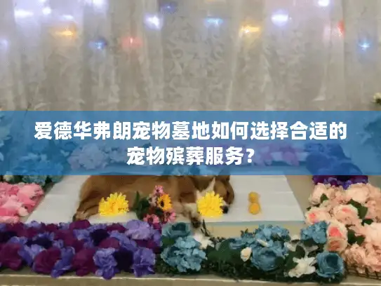 爱德华弗朗宠物墓地如何选择合适的宠物殡葬服务？