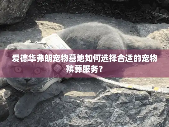 爱德华弗朗宠物墓地如何选择合适的宠物殡葬服务？