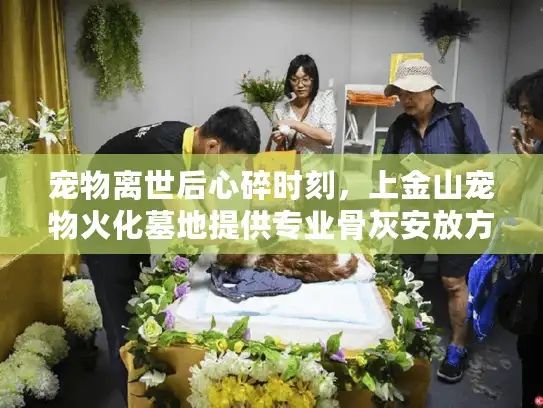 宠物离世后心碎时刻，上金山宠物火化墓地提供专业骨灰安放方案