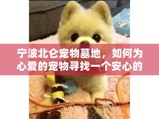 宁波北仑宠物墓地，如何为心爱的宠物寻找一个安心的归宿？