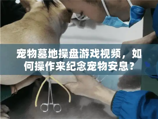 宠物墓地操盘游戏视频，如何操作来纪念宠物安息？