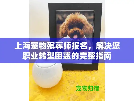 上海宠物殡葬师报名，解决您职业转型困惑的完整指南