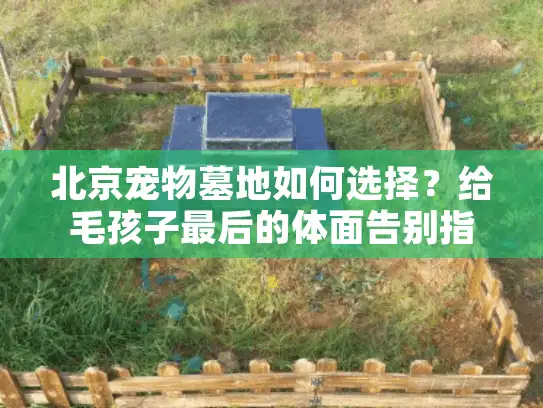 北京宠物墓地如何选择？给毛孩子最后的体面告别指南