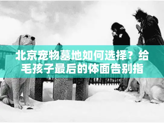 北京宠物墓地如何选择？给毛孩子最后的体面告别指南