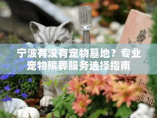 宁波有没有宠物墓地？专业宠物殡葬服务选择指南