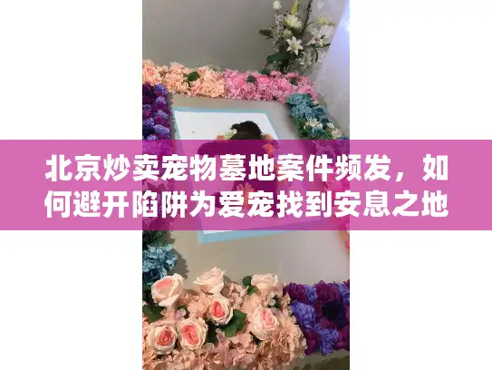 北京炒卖宠物墓地案件频发，如何避开陷阱为爱宠找到安息之地？