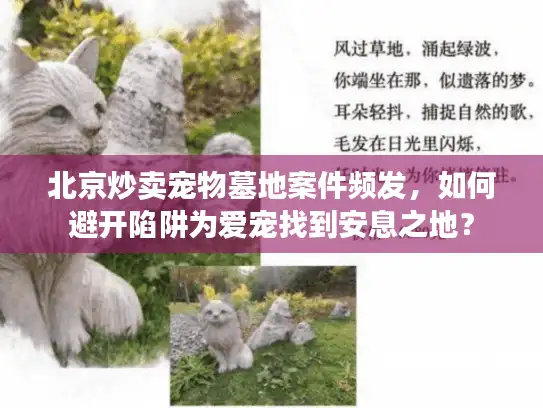 北京炒卖宠物墓地案件频发，如何避开陷阱为爱宠找到安息之地？
