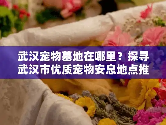 武汉宠物墓地在哪里？探寻武汉市优质宠物安息地点推荐