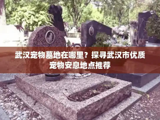 武汉宠物墓地在哪里？探寻武汉市优质宠物安息地点推荐
