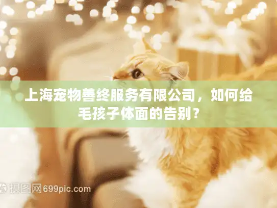 上海宠物善终服务有限公司，如何给毛孩子体面的告别？