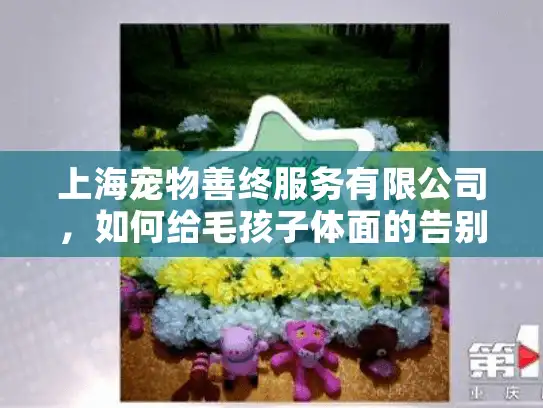 上海宠物善终服务有限公司，如何给毛孩子体面的告别？