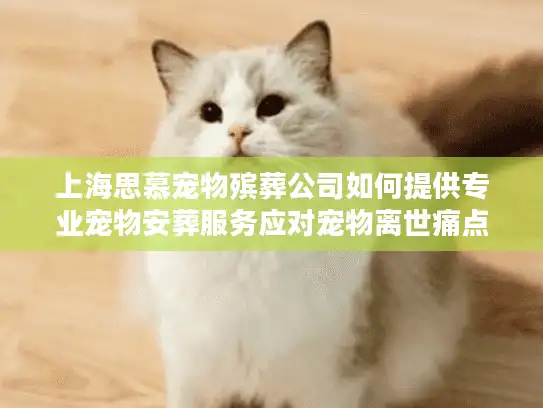 上海思慕宠物殡葬公司如何提供专业宠物安葬服务应对宠物离世痛点?
