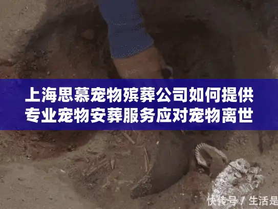 上海思慕宠物殡葬公司如何提供专业宠物安葬服务应对宠物离世痛点?