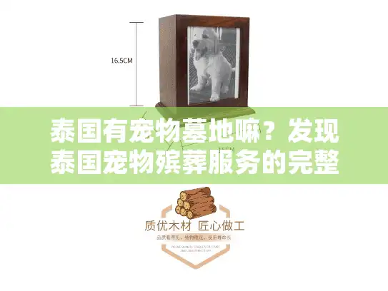 泰国有宠物墓地嘛？发现泰国宠物殡葬服务的完整指南