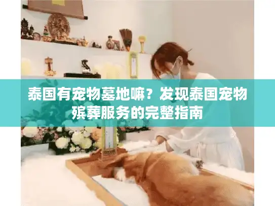 泰国有宠物墓地嘛？发现泰国宠物殡葬服务的完整指南