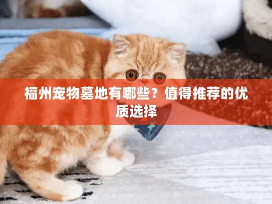 福州宠物墓地有哪些？值得推荐的优质选择