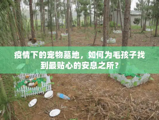 疫情下的宠物墓地，如何为毛孩子找到最贴心的安息之所？