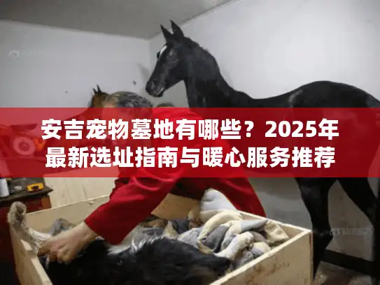 安吉宠物墓地有哪些？2025年最新选址指南与暖心服务推荐