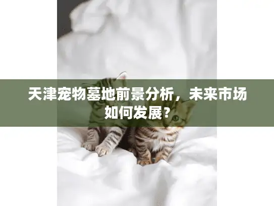 天津宠物墓地前景分析，未来市场如何发展？