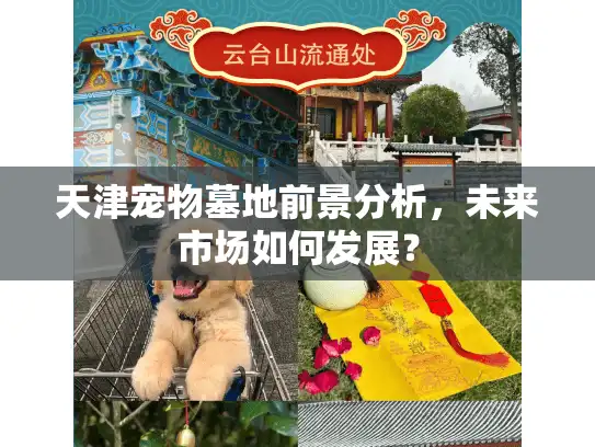 天津宠物墓地前景分析，未来市场如何发展？