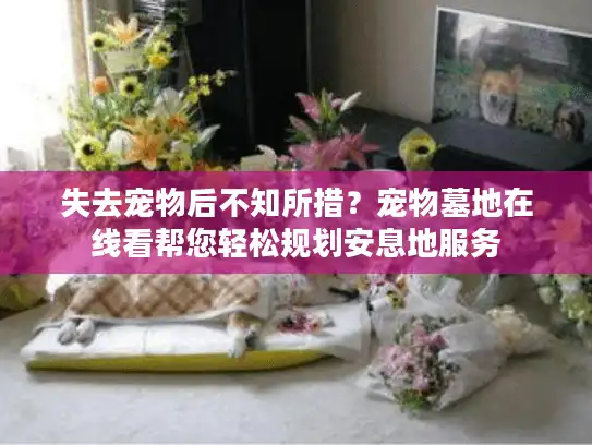 失去宠物后不知所措？宠物墓地在线看帮您轻松规划安息地服务