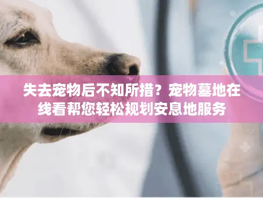 失去宠物后不知所措？宠物墓地在线看帮您轻松规划安息地服务