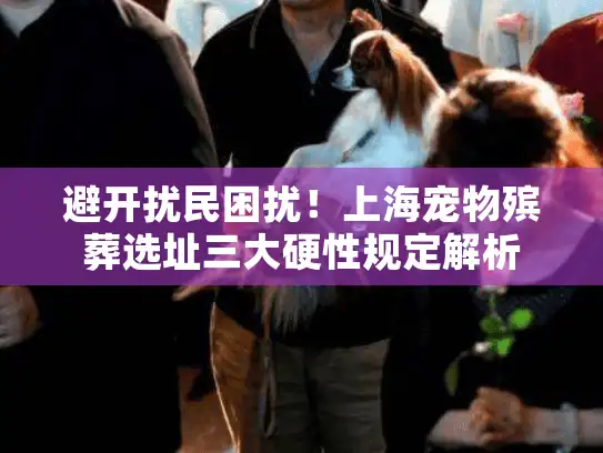 避开扰民困扰！上海宠物殡葬选址三大硬性规定解析